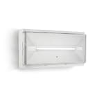 LINERGY SRL - LENPZ1301 PRODIGY XL 245LM 1H SE IP65 ENERGY TEST