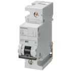 SIEMENS - SIE5SP51917CC INT. MT 10KA 1P C 100A 1,5UM 220VDC