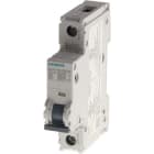 SIEMENS - SIE5SJ41308HG40 INT. MT UL489 1P D 30A 5KA 240VCA