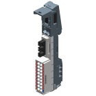 SIEMENS - SIE6ES71936UP000DP1 SIMATIC ET 200SP PotDis-BU tipo P1, variante chiara UI 1
