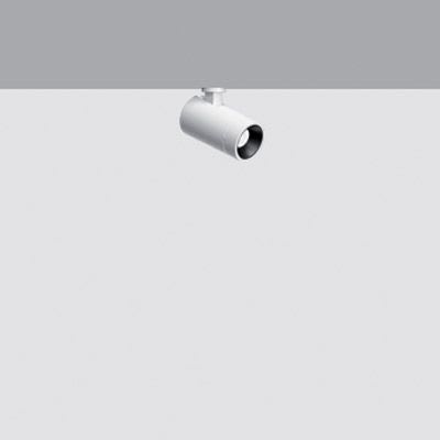 IGUZZINI ILLUMINAZI - IGZ3.Q623.701.0 PALCO L.V.SPOT SING.D=19 3000K CRI90 DAL