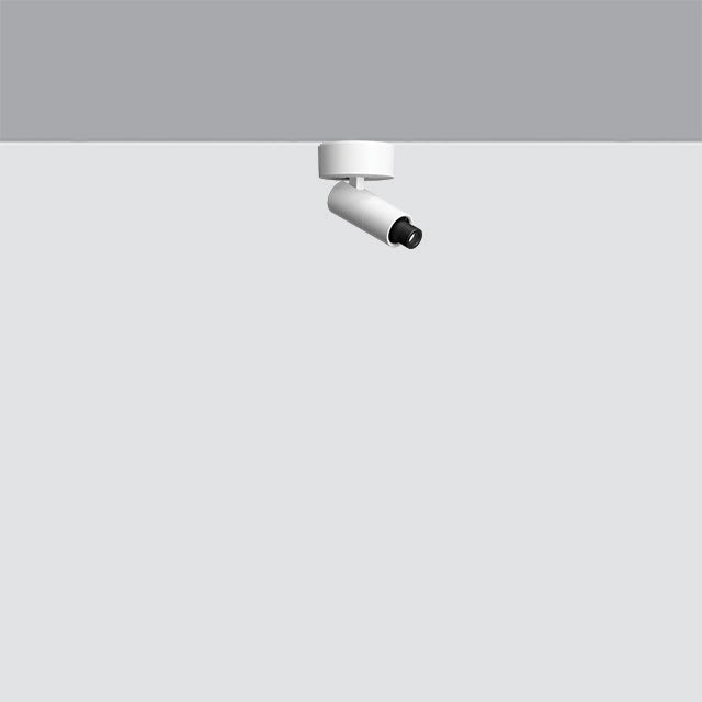 IGUZZINI ILLUMINAZI - IGZ3.QI41.701.0 PALCO FRAMER D=19 PLAFONE 3000K CRI90 CL