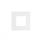 REGGIANI SPA ILLU - REG0.26245.0012 ACC. COVER SQUARE FLUSH MOOD 110 IP54