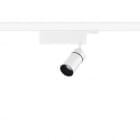 REGGIANI SPA ILLU - REG0.GH84E.HQ12 YORI EVO DRIVER BOX PREC D60 17W FM