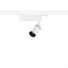 REGGIANI SPA ILLU - REG0.GH84E.NN12 YORI EVO DRIVER BOX PREC D60 17W FM