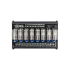 PIXSYS SRL - PIXRLE24-8-CCP INTERFACCIA 8 RELE 24V NPN/PNP
