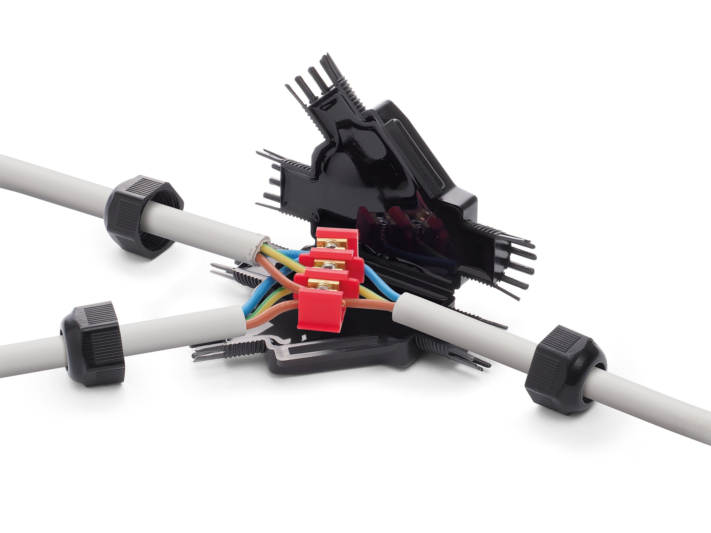 RAYTECH SRL - RYTRAPIDINOY3 RAPIDINO IP68 Y3 GIUNTO NERO DER (CF 1 P