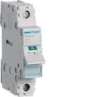 HAGER - HAGSBN140 Ausschalter 40A 1S 230V AC 1PLE