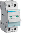 HAGER - HAGSBN299 INTERRUTTORE NON AUT 2 POLI 125A 2 MOD