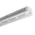 PERFORMANCE IN LIGHT - PRI06242494 KOA LINE COB/GL SW 176 40K-94 D1/10V