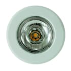 SIDE SPA - SDE0021COB-54 SHELF IP54 DIAM.58MM 3.5W 346LM 3000K IP