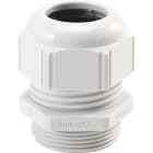 LAPP ITALIA SRL - LPP53018140 SKINTOP STR PG 16 RAL 7035 LGY