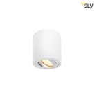 SLV ITALIA SRL - SLV1002011 TRILEDO CL, PLAFONE PER INTERNI, QPAR51,