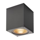 SLV ITALIA SRL - SLV234525 BIG THEO WALL, PARETE, OUTDOOR FLOOD DOW