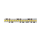 SICOM - SOL5601983065XL SIRIOTAPE 19W/M 830 24V SB IP65 XL 20M