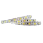 SICOM - SOL5605942 SIRIOTAPE 14W/M IP65 840 24V