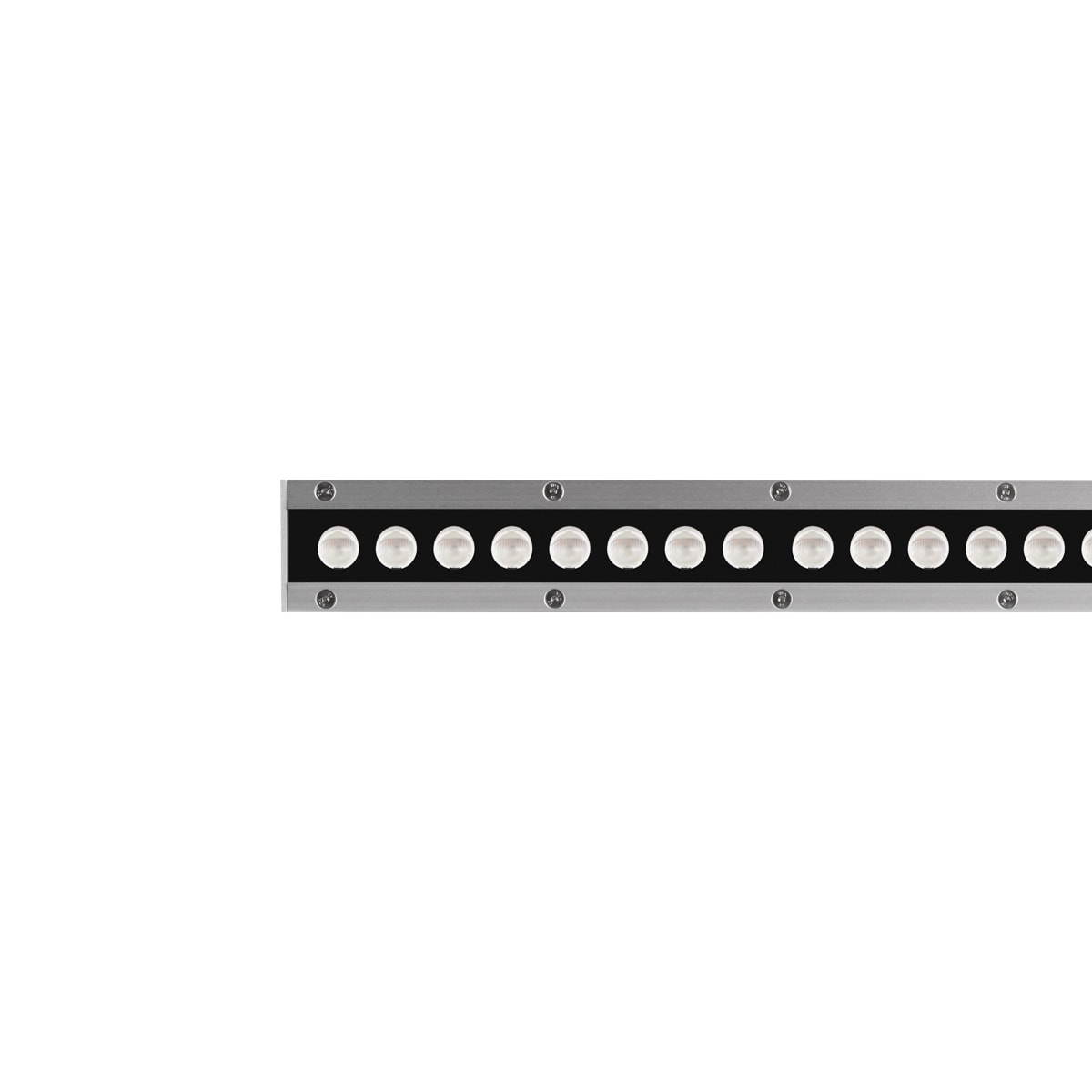 PERFORMANCE IN LIGHT - PRI3109326 STRIP SQ+ 1032 24 A/M 840 GR11 DALI