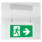 LINERGY SRL - LENSW2101 SWING 30M SL IP30 SPY CENTER 24 PLAFONE