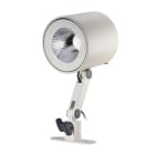 TARGETTI - TAR1T4580 CORO L PRJ 36W MWFL 3K SH ARM RA97 FW