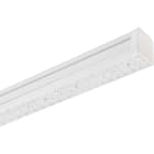 PERFORMANCE IN LIGHT - PRI305927 TRY S/W 81-840-88