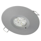 LINERGY SRL - LENVA1507 VIALED IP65 GRIGIO 750LM 2H SE/SA SPY SY