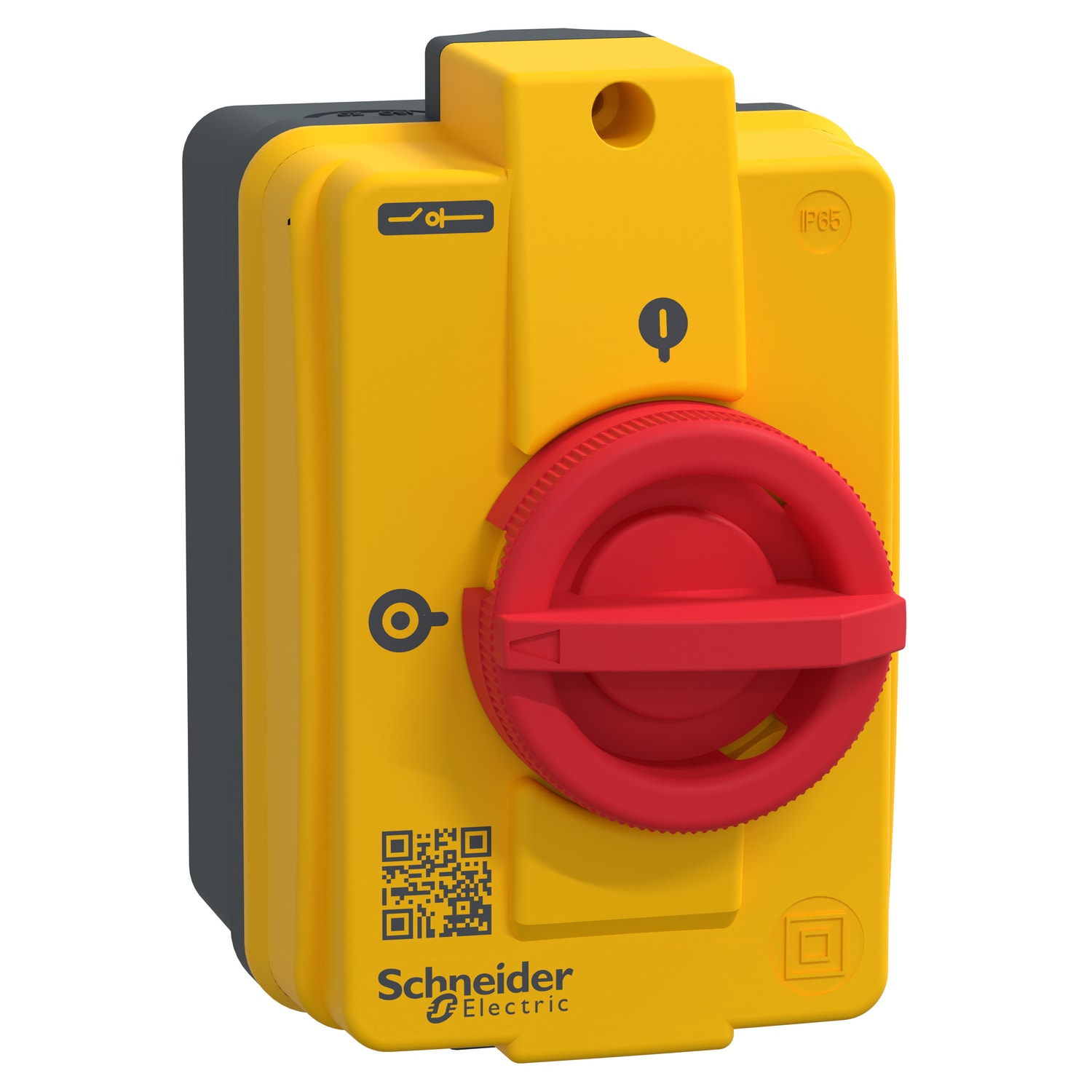 SCHNEIDER ELECTRIC - SNRVCFN25GE Int Vario VCFN cassIP55 3P 20 A