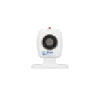 CDVI ITALIA SRL - CDVVIRP5024 FERMA PORTA ELETTROM. 50KG/24V - PAVIM.T