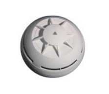 ELICENT (MAICO) - ELI5PR0001 VISUALIZZATORE CON DISPLAY 984M SVP