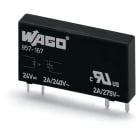WAGO ITALIA SRL - WAG857-167 SSR-E DC 24V