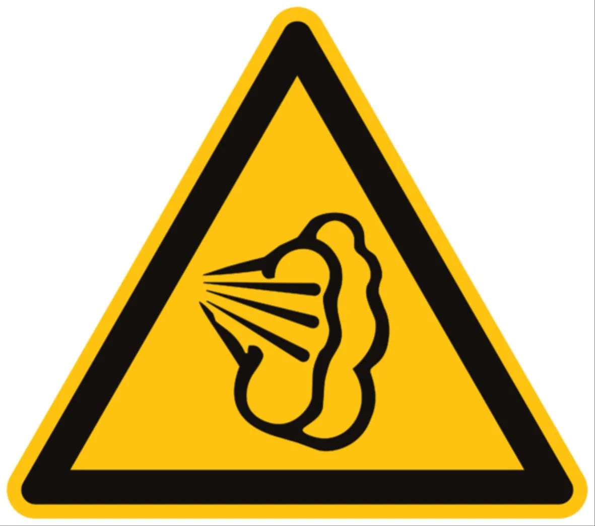 CEMBRE SPA - CEM204802 ETICHETTA ADESIVA DI AVVERTIMENTO WS-ST, SIMBOLO VAPORE ACQUEO, DIMENSIONE 50mm