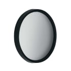 IGUZZINI ILLUMINAZI - IGZ3.X266.065.0 VETRO DIFFONDENTE D=116