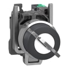 SCHNEIDER ELECTRIC - SNRXB4BG615 SELETTORE CHIAVE 2POS.RITORNO NO PUSH-IN