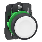 SCHNEIDER ELECTRIC - SNRXB5AA115 Pulsante, Harmony XB5, plastica, filoghiera, bianco, 22 mm, ad impulso, senza marcatura, 1 NO, contatti Push-in