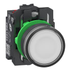 SCHNEIDER ELECTRIC - SNRXB5AW31B55 Pulsante luminoso, Harmony XB5, plastica, bianco filoghiera, 22 mm, LED universale, gemma liscia, 1NO+1NC, 24 V AC DC, Push-in