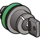 SCHNEIDER ELECTRIC - SNRZB5FG4D Testa selettore a chiave 2 pos.Ø30mm