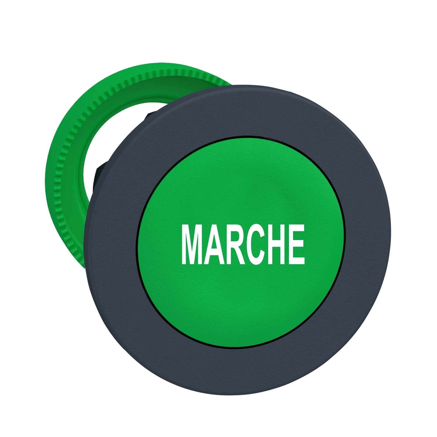 SCHNEIDER ELECTRIC - SNRZB5FA342 TESTA PULS.VERDE MARCHE FILOPANNELLO