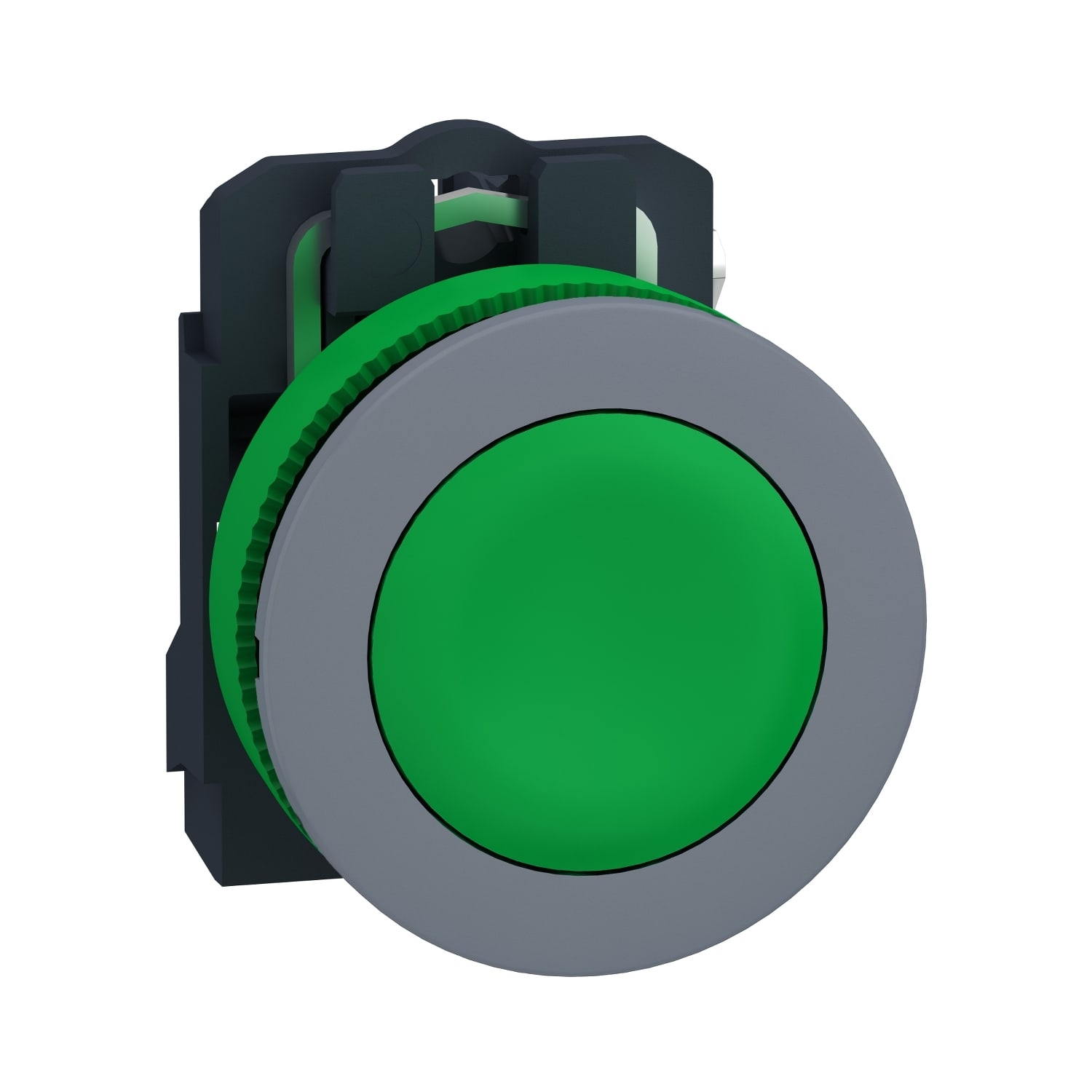 SCHNEIDER ELECTRIC - SNRXB5FA31C0 Puls. verde a filo 1NO ghiera grigia