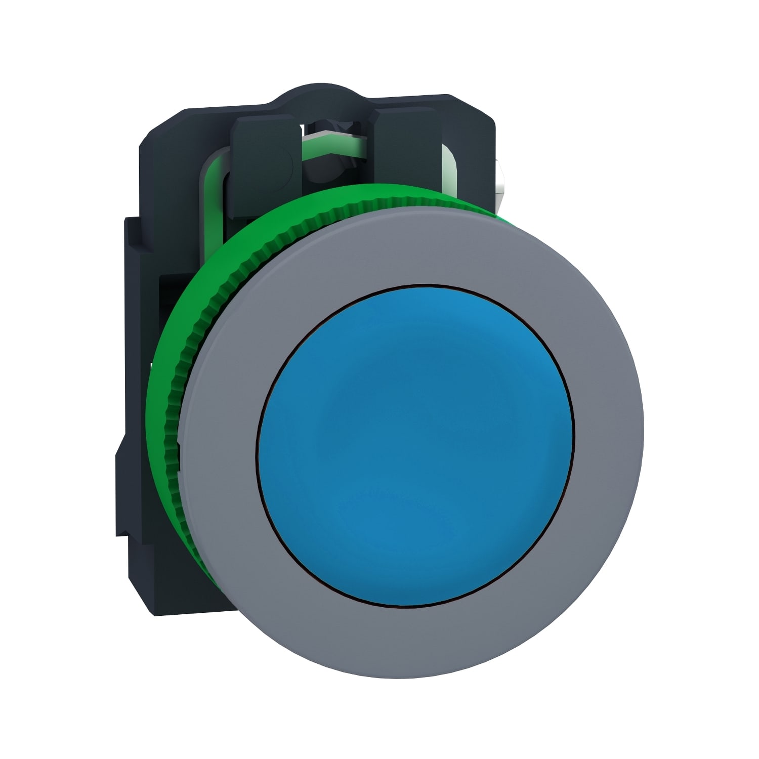 SCHNEIDER ELECTRIC - SNRXB5FA61C0 Puls. blu filopannello 1NO ghiera grigio