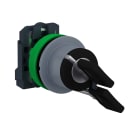 SCHNEIDER ELECTRIC - SNRXB5FG41C0 SELETT.CHIAVE 2POS. A FILO 1 NO GRIGIO