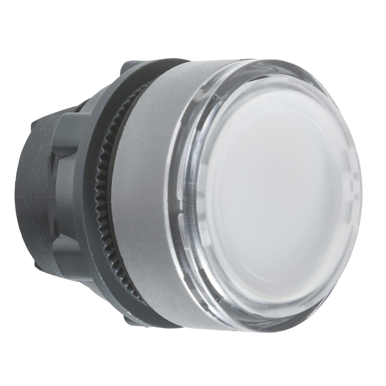 SCHNEIDER ELECTRIC - SNRZB5AH0183C0 TESTA PULSANTE LUM. BIANCO GHIERA GRIGIA
