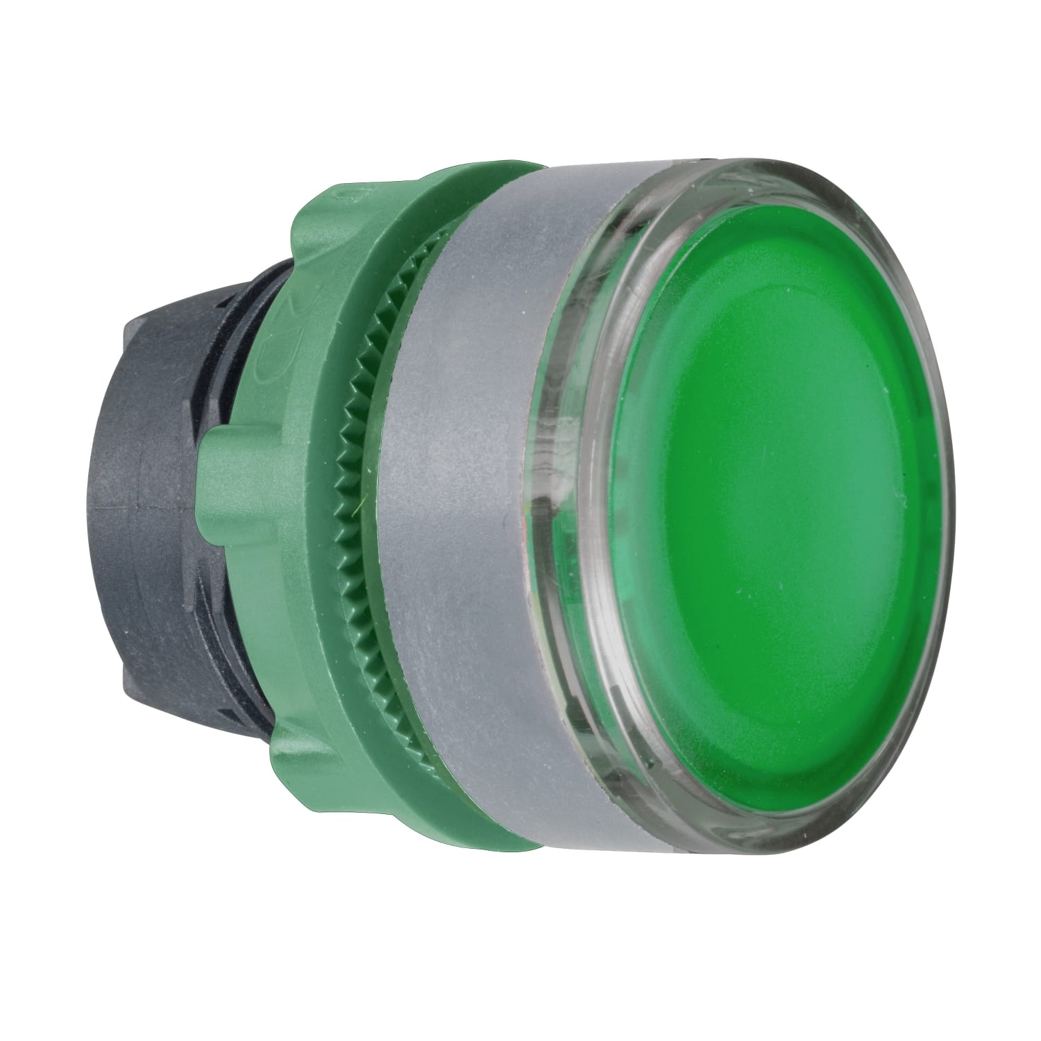 SCHNEIDER ELECTRIC - SNRZB5AH033C0 Testa pulsante luminoso verde ghiera grigia- per LED universale- Ø22