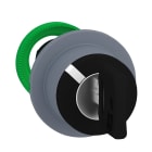 SCHNEIDER ELECTRIC - SNRZB5FG6C0 TESTA SELETT.CHIAVE 2 POS.A FILO GRIGIO