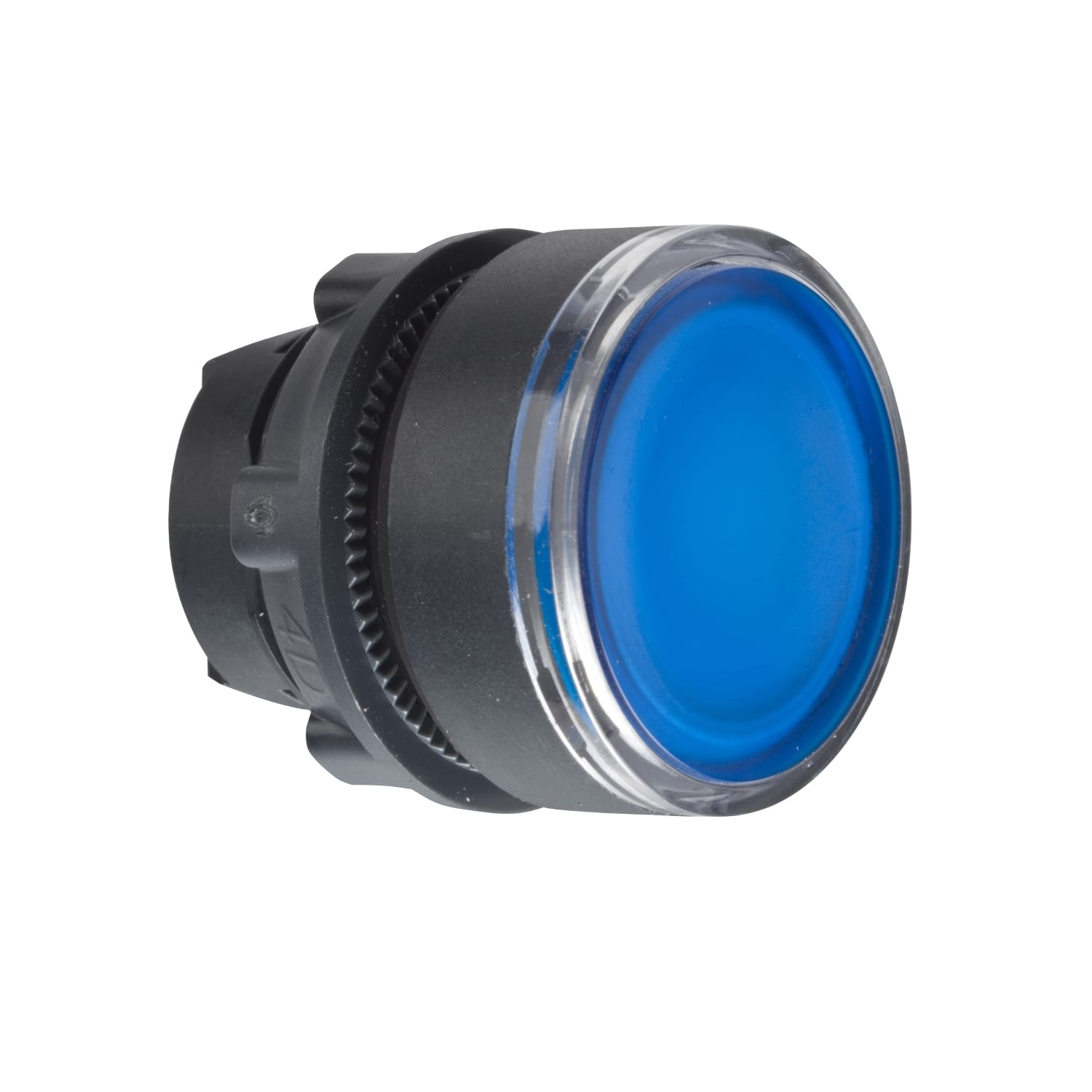 SCHNEIDER ELECTRIC - SNRZB5AH063 TESTA PULSANTE LUMINOSO BLU