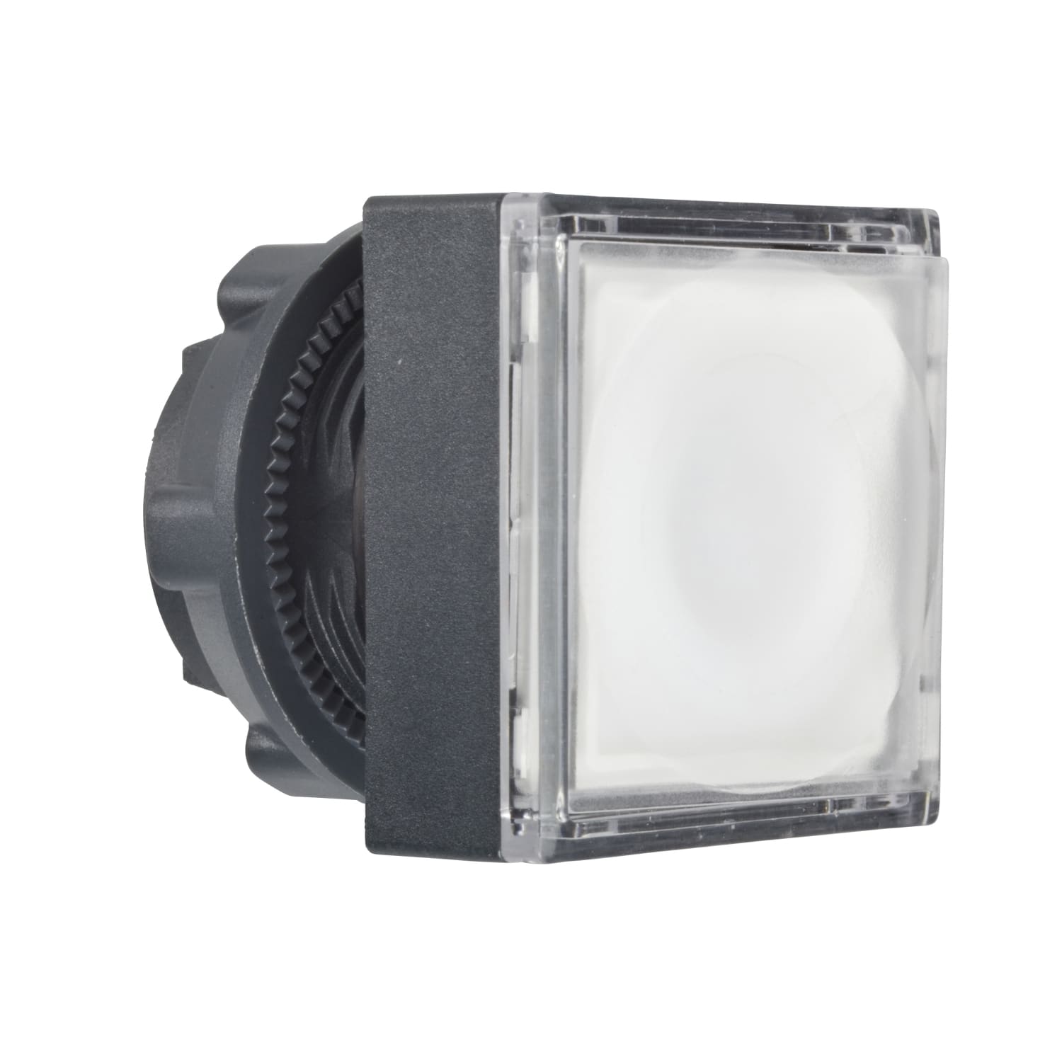 SCHNEIDER ELECTRIC - SNRZB5CW313 TESTA PULSANTE LUMINOSO BIANCO