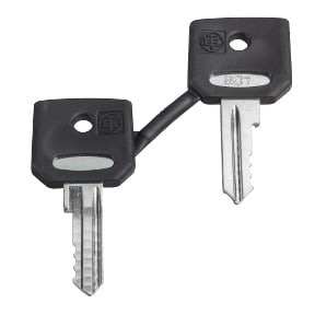 SCHNEIDER ELECTRIC - SNRZBGK SET CHIAVI DI RICAMBIO