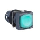 SCHNEIDER ELECTRIC - SNRZB6CF3 TESTA PULSANTE LUMINOSO VERDE