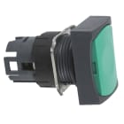 SCHNEIDER ELECTRIC - SNRZB6DA3 TESTA PULSANTE VERDE
