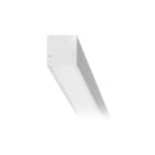 PANZERI CARLO - PAZXP2033-300TRACKP BROOKLYN OUT: SIST.SOSP-SOFF-PAR 302.5 B