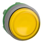 SCHNEIDER ELECTRIC - SNRZB5AW183C0 TESTA PULSANTE LUM. GIALLO GRIGIO