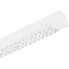 SIGNIFY ITALY SPA - PHA87641199 4MX850 | Maxos Led Industry, LED80S | LED Module, system flux 8000 lm, 840 bianco neutro, Unità di alimentazione con interfaccia DALI, Fascio stretto,